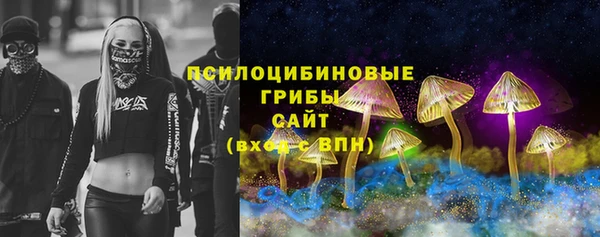 марки lsd Вяземский