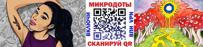 Галлюциногенные грибы Cubensis где найти Одинцово